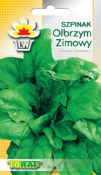 Nasiona Szpinak Olbrzym Zimowy 10g