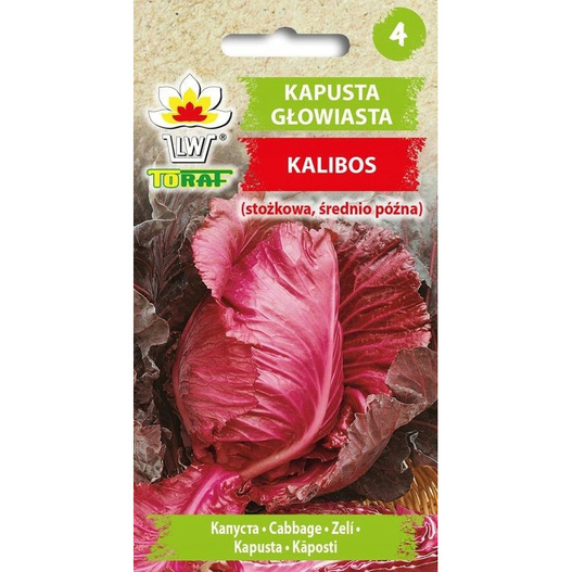 Nasiona Kapusta Głowiasta Czerwona Stożkowa Kalibos 1g