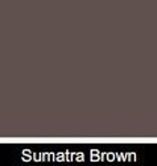 Ceresit CT 60 0,5 mm Visage Tynk Sumatra Brown