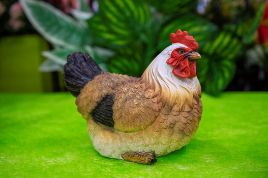 Kura brąz multikolor, czerwony grzebień 15 cm