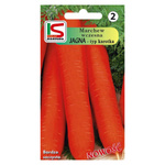 Nasiona Marchew wczesna Jagna 5g