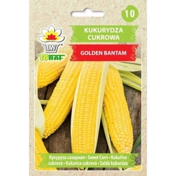 Nasiona Kukurydza cukrowa Golden Bantam 10g