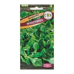 Nasiona Roszponka warzywna Verte de Cambrai 2g