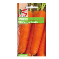 Nasiona Marchew średnio wczesna Nantaise 5g