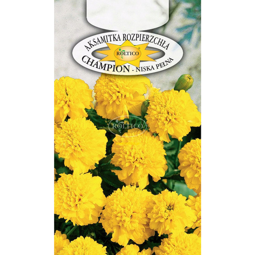 Nasiona Aksamitka Rozpierzchła Champion Żółta 0,3g