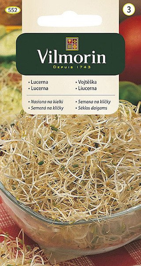 Nasiona na kiełki Lucerna 20g