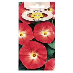 Nasiona Wilec czerwony 2g