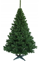 Choinka Jodła 200 cm