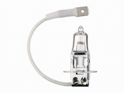 Żarówka halogen H3 12V 55W 1szt. Bottari