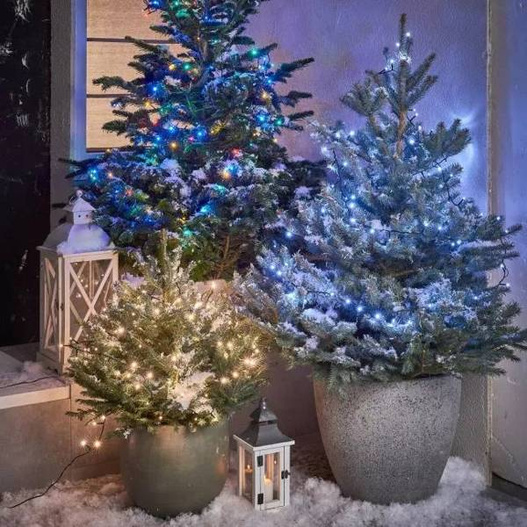 Lampki LED 100L 4,95m wielokolorowy zewnętrzne