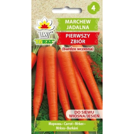 Nasiona Marchew Jadalna Pierwszy Zbiór 5g