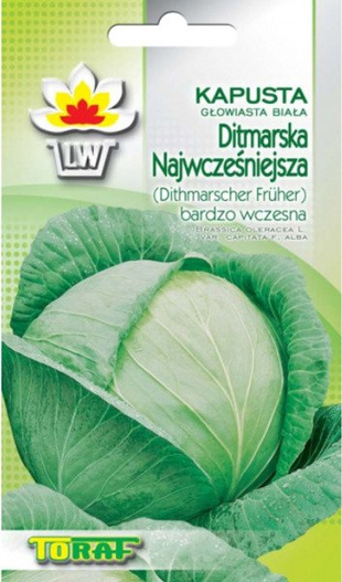 Nasiona Kapusta głowiasta biała Ditmarska 2g