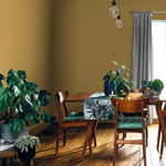 Dulux Easycare Plus 2,5l Musztardowy trend