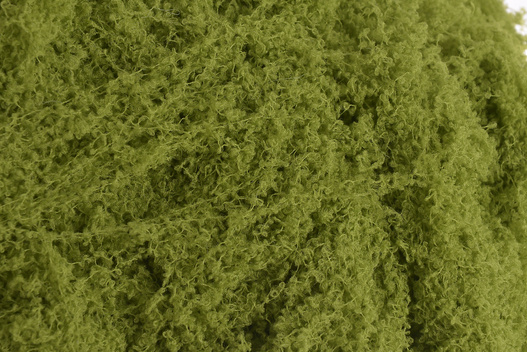 Mech zielony na gałązki 100g paczka