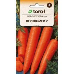 Nasiona Marchew Jadalna Berlicumer 2 5g