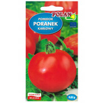 Nasiona Pomidor karłowy Poranek 0,5g