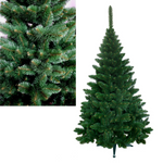 Choinka Sosna Himalajska Delux 180cm