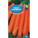 Nasiona Marchew Jadalna Amsterdam 5g