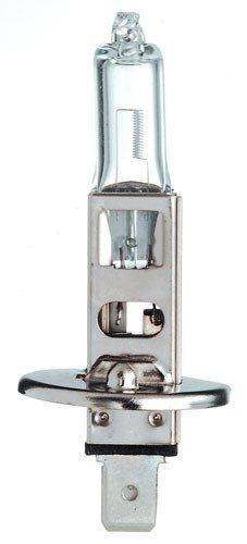 Żarówka halogen H1 12V 55W 1szt. Bottari