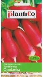 Nasiona Rzodkiewka Opolanka 10 g