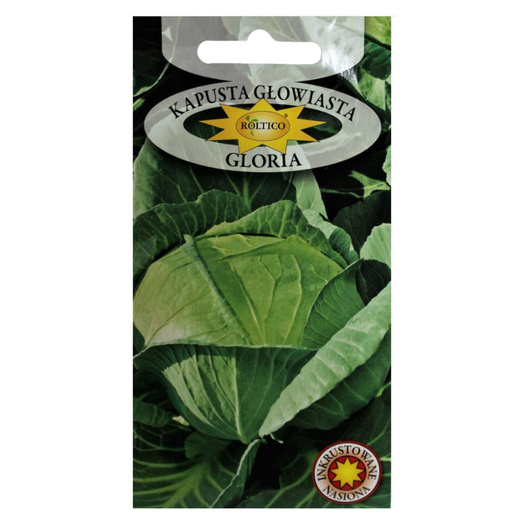 Nasiona Kapusta biała głowiasta Gloria 2g