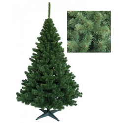 Choinka Jodła 180 cm