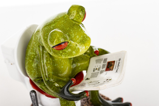 Figurka Żaba siedząca na kibelku z gazetą, brązowy dywanik 10,5cm