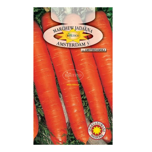 Nasiona Marchew Amsterdam 3- 5g