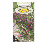 Nasiona Lobelia zwisająca mix 0,1g