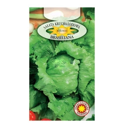 Nasiona Sałata lodowa Brasiliana 1g
