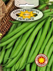 Nasiona Fasola karłowa Processor 30g średnio wczesna