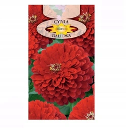 Nasiona cynia daliowa czerwona 1g
