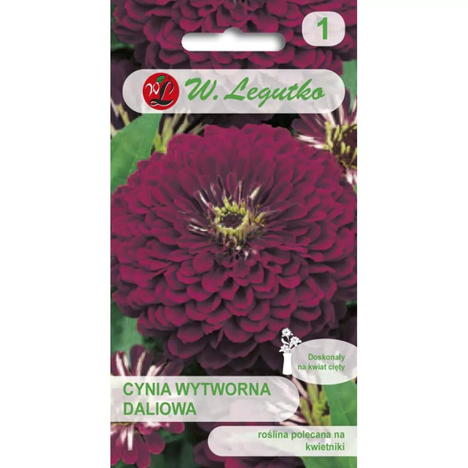 Nasiona Cynia Wytworna Daliowa Violet Queen 1g