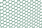 Siatka ogrodzeniowa sześciokąt zielona 1x10m 13mm