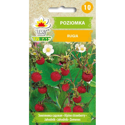 Nasiona Poziomka Rugia 0,2g