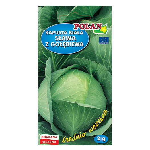 Nasiona Kapusta głowiasta biała Sława z Gołębiewa 2g średnio wczesna