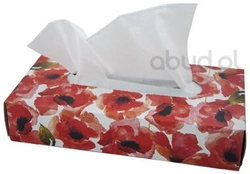 Chusteczki kosmetyczne 80 sztuk Soft & Easy