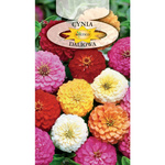Nasiona Cynia Wytworna Daliowa Mieszanka 1g