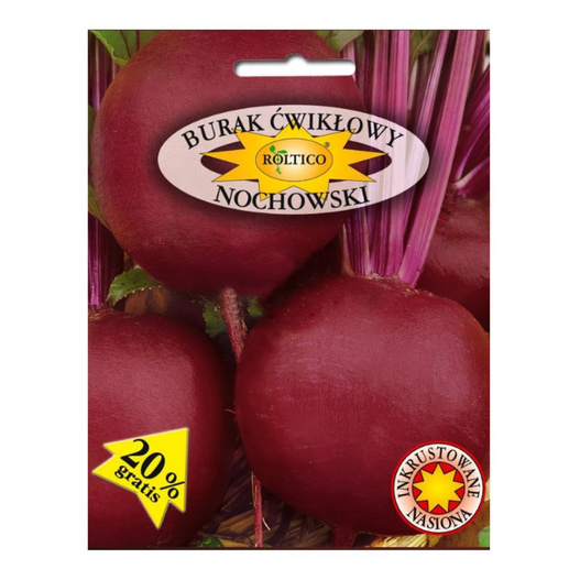 Nasiona Burak ćwikłowy Nochowski 10g