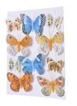 Motyl na klipsie 10 sztuk pomarańczowy/niebieski/biało-pomarańczowe/żółte