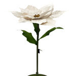 Kwiat BIG Gwiazda betlejemska kremowa 125cm