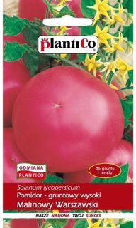 Nasiona Pomidor gruntowy Malinowy Warszawski 0,5g
